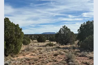Lot 4 Ranch Of The White Mountains, Concho, AZ 85924 - Photo 1