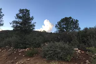 00000 W Buckhorn - V Dr, Peeples Valley, AZ 86332 - Photo 1