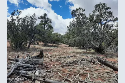 55660 N La Bruja Road, Seligman, AZ 86337 - Photo 1