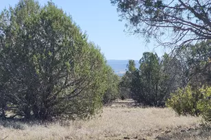 Lot 30 Off Rattlesnake, Ash Fork, AZ 86320 - Photo 1