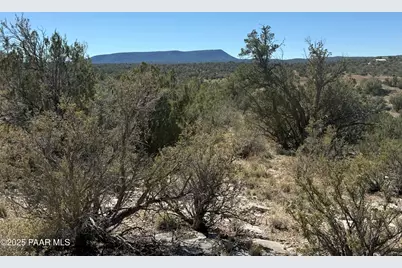 33367 W Hora Circle, Seligman, AZ 86337 - Photo 1