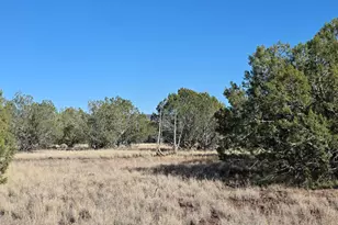 3715 W Shawn Wy, Williams, AZ 86046 - Photo 1