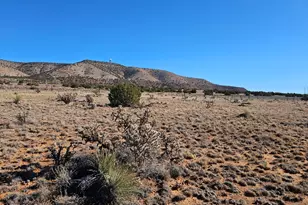 55461 N Railroad Ave, Seligman, AZ 86337 - Photo 1