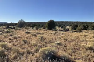 886 SE Cable Rd, Williams, AZ 86046 - Photo 1
