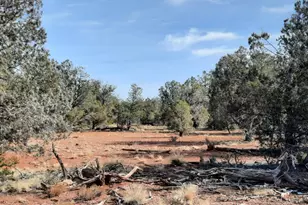 55163 N Campana Circle, Seligman, AZ 86337 - Photo 1