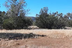 54214 N Castano Rd, Seligman, AZ 86337 - Photo 1