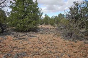 56450 N Shadow Mountain Pkwy, Seligman, AZ 86337 - Photo 1