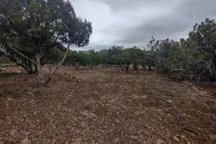 Lot 10D Incline Trail, Williams, AZ 86046 - Photo 1