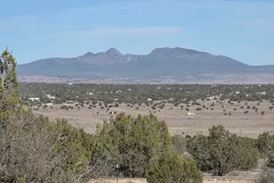 53302 Shadow Mountain Pkwy, Seligman, AZ 86337 - Photo 1