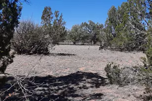 Lot 265 N Rocky Top Rd, Seligman, AZ 86337 - Photo 1