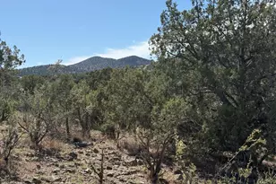 Tbd Spotted Dog Trail, Chino Valley, AZ 86323 - Photo 1