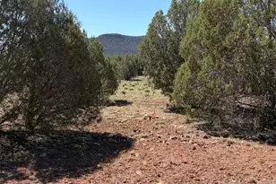 Lot 851 Fort Rock Rd, Seligman, AZ 86337 - Photo 1