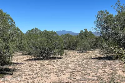 202 Cooks Trail, Ash Fork, AZ 86320 - Photo 1