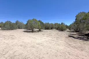51860 N Ajo Rd, Seligman, AZ 86337 - Photo 1
