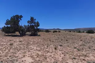 27705 W Fort Rock Rd, Seligman, AZ 86337 - Photo 1
