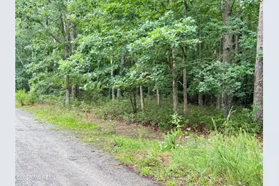 0 Maplewood Drive, Little Egg Harbor, NJ 08087 - Photo 8