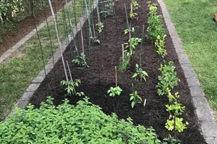 1715 J St, Wall Township, NJ 07719 - Photo 8