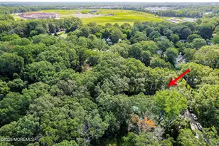 11 Murdock Pl, Jackson, NJ 08527 - Photo 28