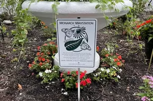 72 Jean St, Lakewood, NJ 08701 - Photo 34