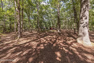 739 Nugentown Road, Little Egg Harbor, NJ 08087 - Photo 64