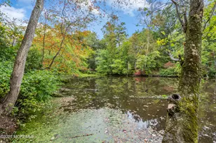 28 Lauren Ln, New Egypt, NJ 08533 - Photo 84