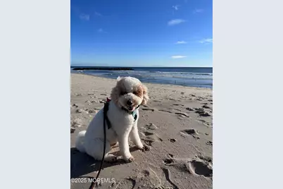 316 Park Place Avenue, Bradley Beach, NJ 07720 - Photo 36