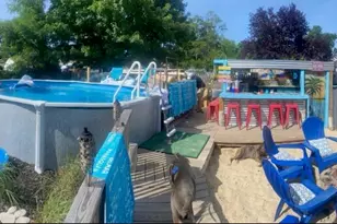 247 Sprucewood Dr, Brick, NJ 08723 - Photo 46