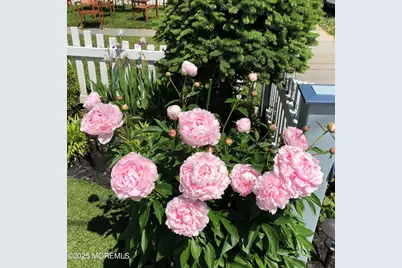 9 Embury Avenue, Ocean Grove, NJ 07756 - Photo 54