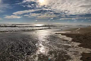 32 N Potter Ave, Manasquan, NJ 08736 - Photo 30