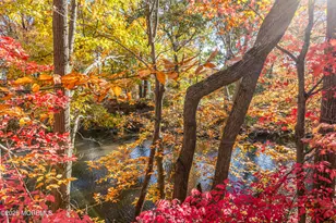 5 Indiana Ct, Matawan, NJ 07747 - Photo 28