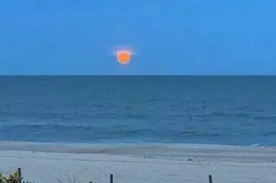 208 Mallard Ln, Lavallette, NJ 08735 - Photo 46