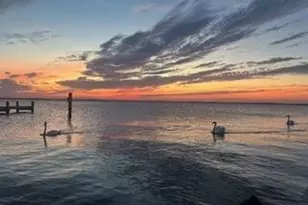 208 Mallard Ln, Lavallette, NJ 08735 - Photo 42