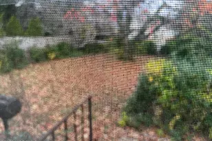 17 Helen Ave, Freehold, NJ 07728 - Photo 6