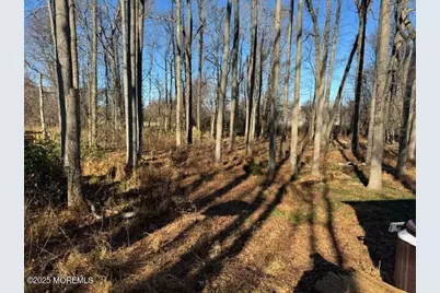 17 Emma Place, Eatontown, NJ 07724 - Photo 16