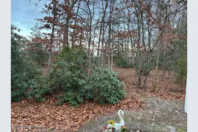 3 Swift Circle #D, Whiting, NJ 08759 - Photo 6