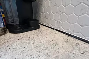 182 Tulip Ln, Freehold, NJ 07728 - Photo 8