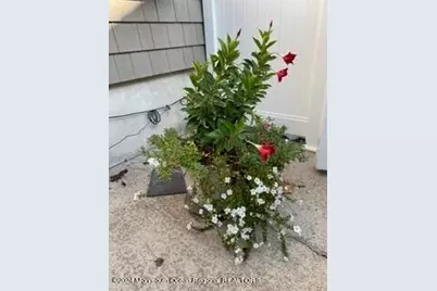 603 Madison Avenue, Bradley Beach, NJ 07720 - Photo 12