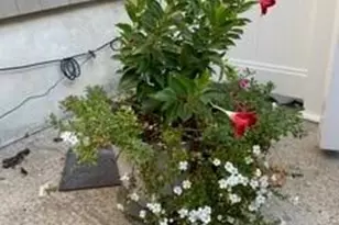 603 Madison Ave, Bradley Beach, NJ 07720 - Photo 12