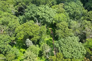 169 Applegarth Rd, Monroe Township, NJ 08831 - Photo 38