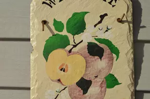 2506 Woodbine Ln, Toms River Township, NJ 08755 - Photo 4