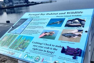 447 N Hwy 35, Mantoloking, NJ 08738 - Photo 40