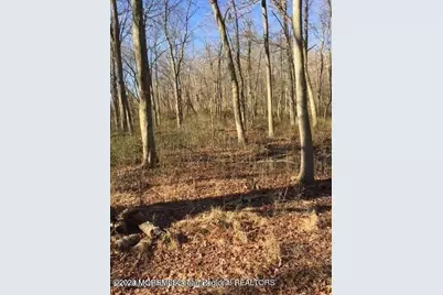 45 Iron Ore Road, Manalapan Township, NJ 07726 - Photo 20