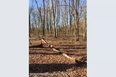 45 Iron Ore Road, Manalapan Township, NJ 07726 - Photo 22