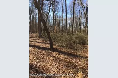 45 Iron Ore Road, Manalapan Township, NJ 07726 - Photo 24