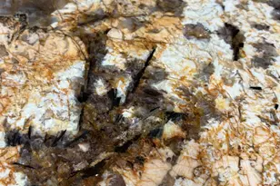 177 Cedar Swamp Rd, Jackson, NJ 08527 - Photo 8