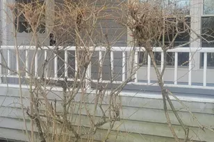 2402 Candlelight Ct, Helmetta, NJ 08828 - Photo 12