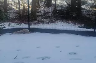 2402 Candlelight Ct, Helmetta, NJ 08828 - Photo 10