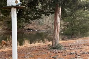 176 Charlotteville Dr S, Toms River Township, NJ 08757 - Photo 26