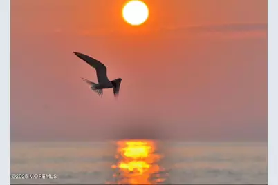 492 Ocean Avenue, Sea Bright, NJ 07760 - Photo 120