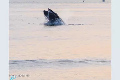 492 Ocean Avenue, Sea Bright, NJ 07760 - Photo 118